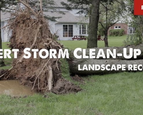 storm clean up tips from sacramento rental property management